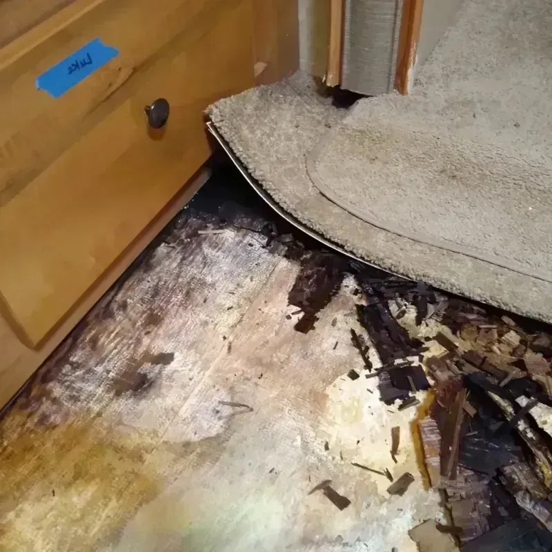 Wood Floor Water Damage in Smyrna, GA